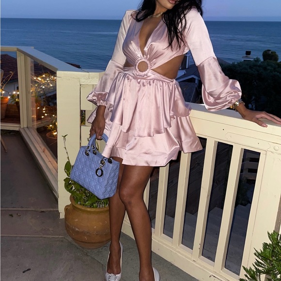 Pink Dress - Picture 3 of 7